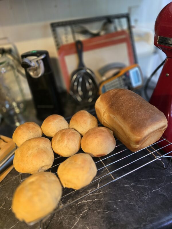 Wheat Bread Loaf