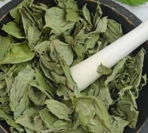 Dried Basil